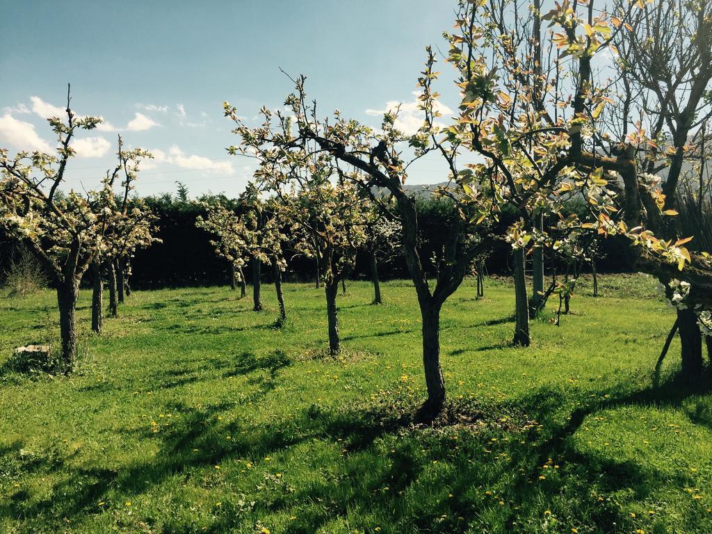 Bed & Breakfast Le Piagge Scurcola Marsicana Bagian luar foto